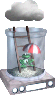 Herbst-Wetterfrosch