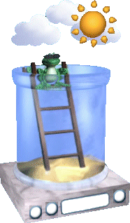 Sommer-Wetterfrosch