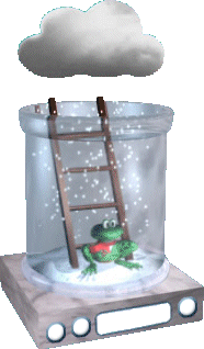 Winter-Wetterfrosch